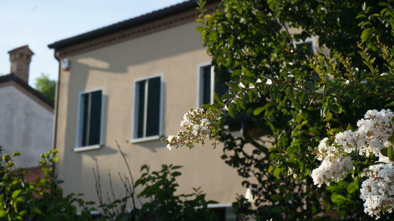 Hotel Antico Alveo Camponogara Exterior foto